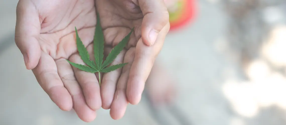 A doctor discussing medical plant-based therapy options with a patient